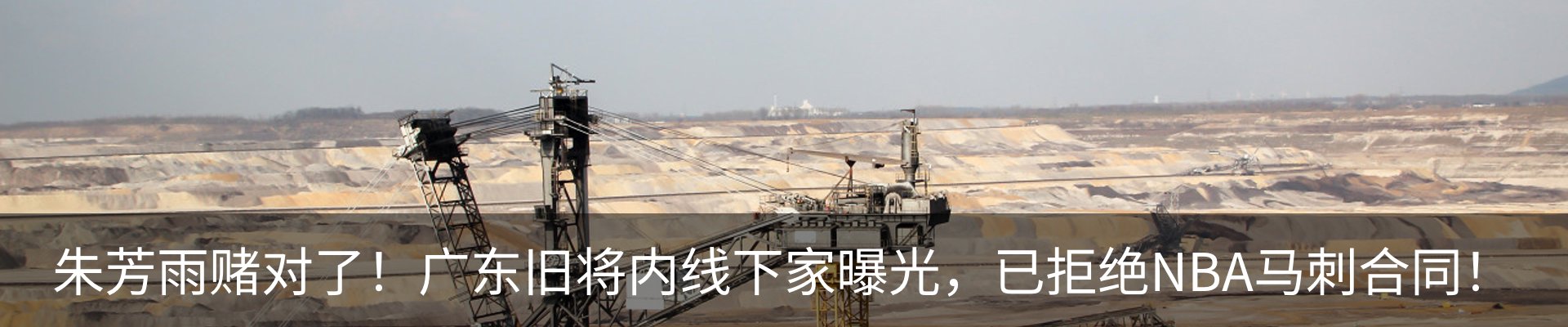 最新动态